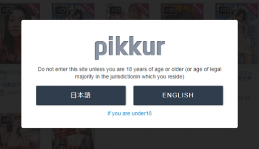 Pikkur（ピッカー）の割引クーポンコードと体験レビュー